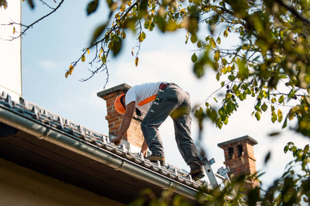 Best Roof Gutter Cleaning  in Eagle, WI