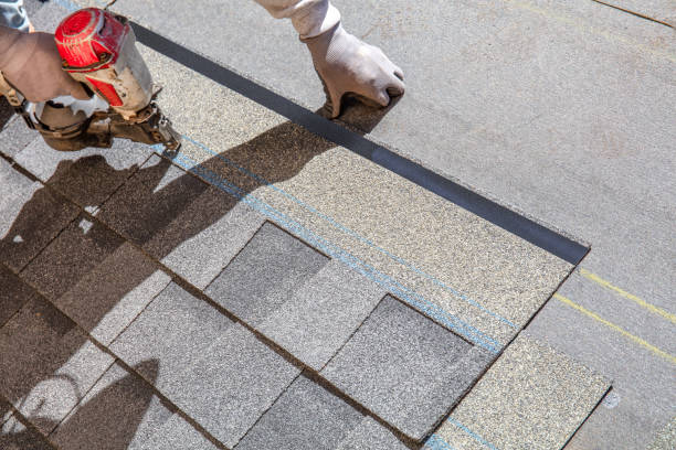Best Roof Gutter Cleaning  in Eagle, WI